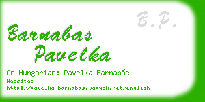 barnabas pavelka business card